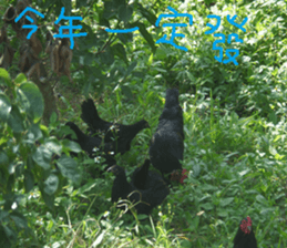 Chinese homes sticker #14736434