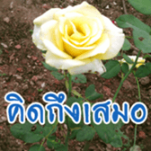 Enjoy Life & Be Happy sticker #14741977