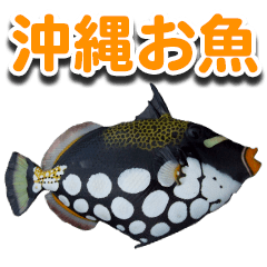 Okinawa's saltwater fish
