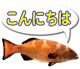 Okinawa's saltwater fish sticker #14744054