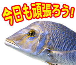 Okinawa's saltwater fish sticker #14744056