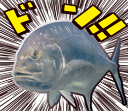 Okinawa's saltwater fish sticker #14744057