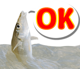 Okinawa's saltwater fish sticker #14744058