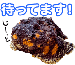 Okinawa's saltwater fish sticker #14744060