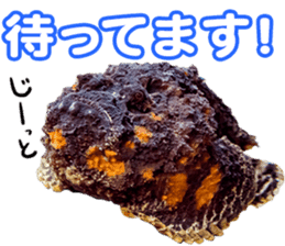 Okinawa's saltwater fish sticker #14744060