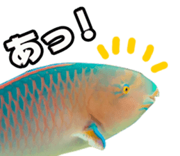 Okinawa's saltwater fish sticker #14744067