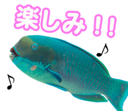 Okinawa's saltwater fish sticker #14744068