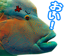 Okinawa's saltwater fish sticker #14744069