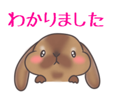 Holland lop MIMI sticker #14744349