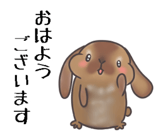 Holland lop MIMI sticker #14744358