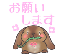 Holland lop MIMI sticker #14744365