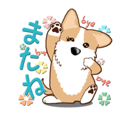 Daily life of Corgi Version 2. sticker #14744508