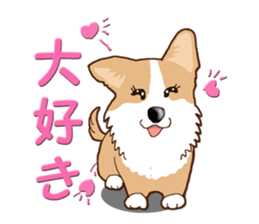 Daily life of Corgi Version 2. sticker #14744520