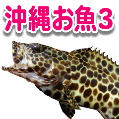 Okinawa's saltwater fish 3
