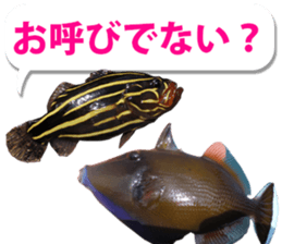 Okinawa's saltwater fish 3 sticker #14744527
