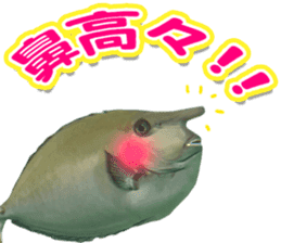 Okinawa's saltwater fish 3 sticker #14744528