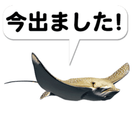 Okinawa's saltwater fish 3 sticker #14744531