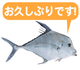Okinawa's saltwater fish 3 sticker #14744534