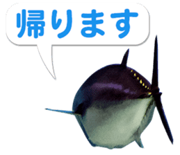 Okinawa's saltwater fish 3 sticker #14744536
