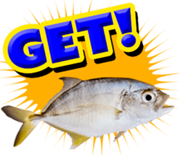 Okinawa's saltwater fish 3 sticker #14744539