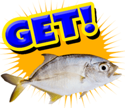Okinawa's saltwater fish 3 sticker #14744539