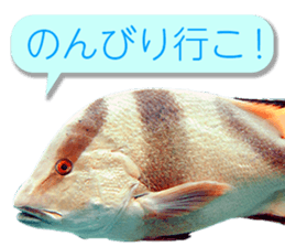 Okinawa's saltwater fish 3 sticker #14744542