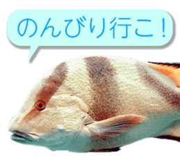 Okinawa's saltwater fish 3 sticker #14744542