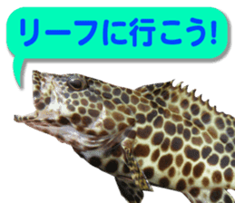 Okinawa's saltwater fish 3 sticker #14744544
