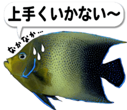 Okinawa's saltwater fish 3 sticker #14744546