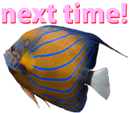 Okinawa's saltwater fish 3 sticker #14744549