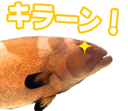 Okinawa's saltwater fish 2 sticker #14744622