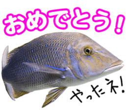 Okinawa's saltwater fish 2 sticker #14744623