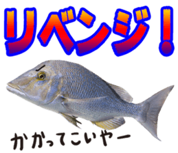 Okinawa's saltwater fish 2 sticker #14744624
