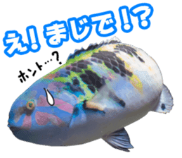 Okinawa's saltwater fish 2 sticker #14744625