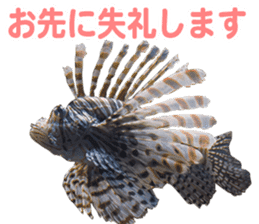 Okinawa's saltwater fish 2 sticker #14744629