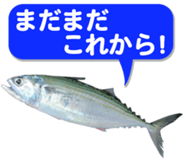 Okinawa's saltwater fish 2 sticker #14744637