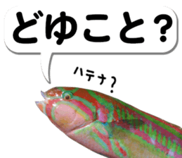 Okinawa's saltwater fish 2 sticker #14744638