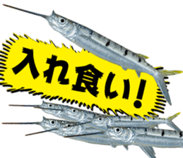 Okinawa's saltwater fish 2 sticker #14744639