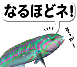 Okinawa's saltwater fish 2 sticker #14744640