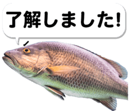 Okinawa's saltwater fish 2 sticker #14744643