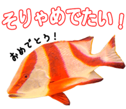Okinawa's saltwater fish 2 sticker #14744644