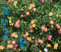 Ci round sticker #14744875