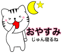 Names cat jyun sticker #14744927