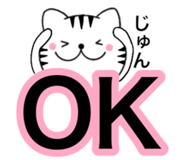 Names cat jyun sticker #14744931