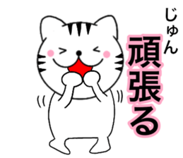 Names cat jyun sticker #14744939