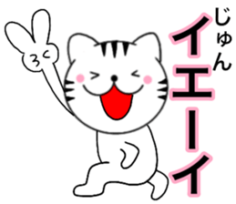 Names cat jyun sticker #14744957