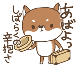 Greeting of a Shiba dog sticker #14747180