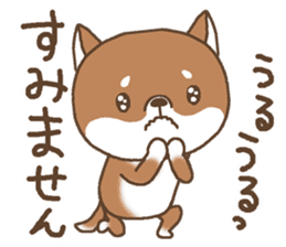 Greeting of a Shiba dog sticker #14747183