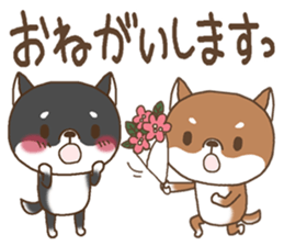 Greeting of a Shiba dog sticker #14747193
