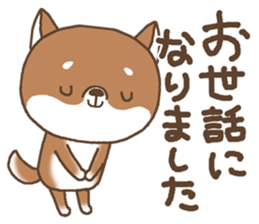 Greeting of a Shiba dog sticker #14747197